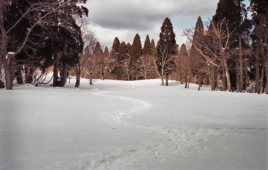 八雲ヶ池