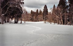 八雲ヶ池