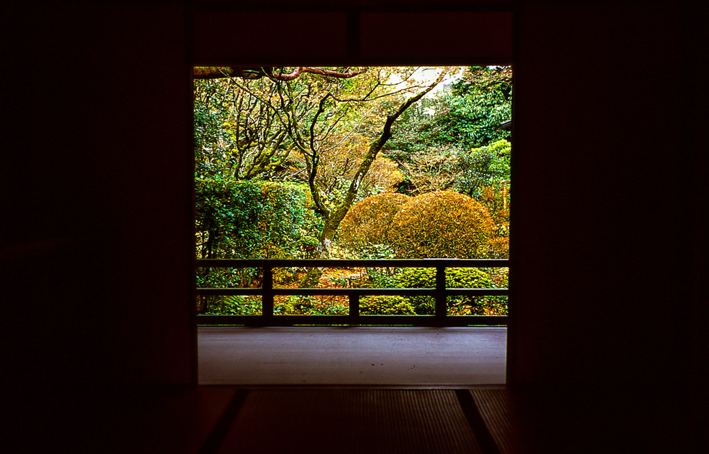 紫野高桐院