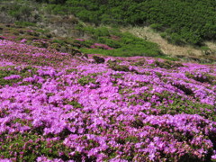 平治岳