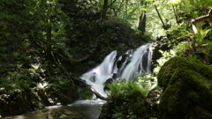 岩手の滝3