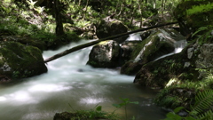 岩手の滝2
