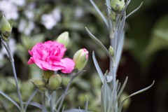 華2