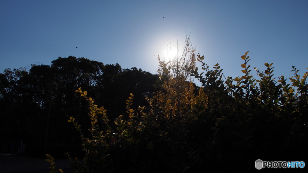 公園2