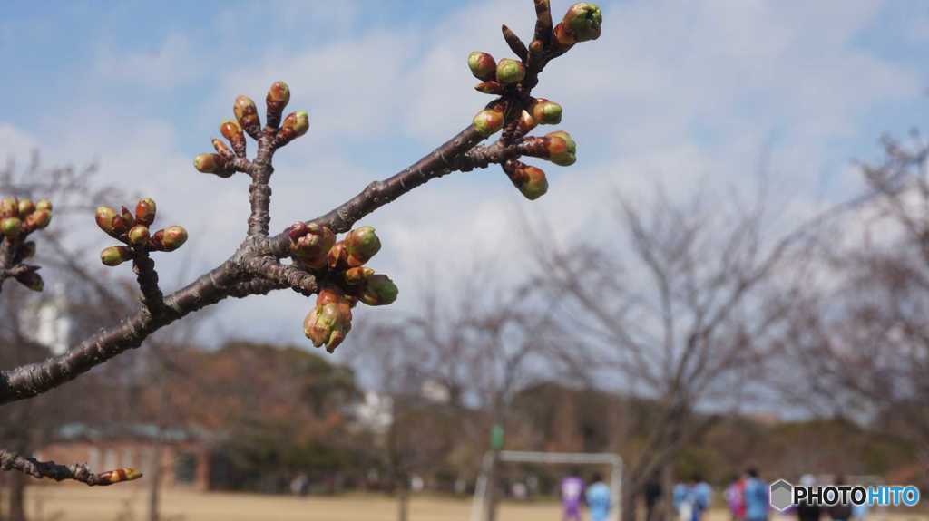 公園004