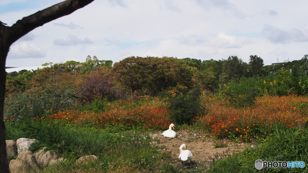 公園