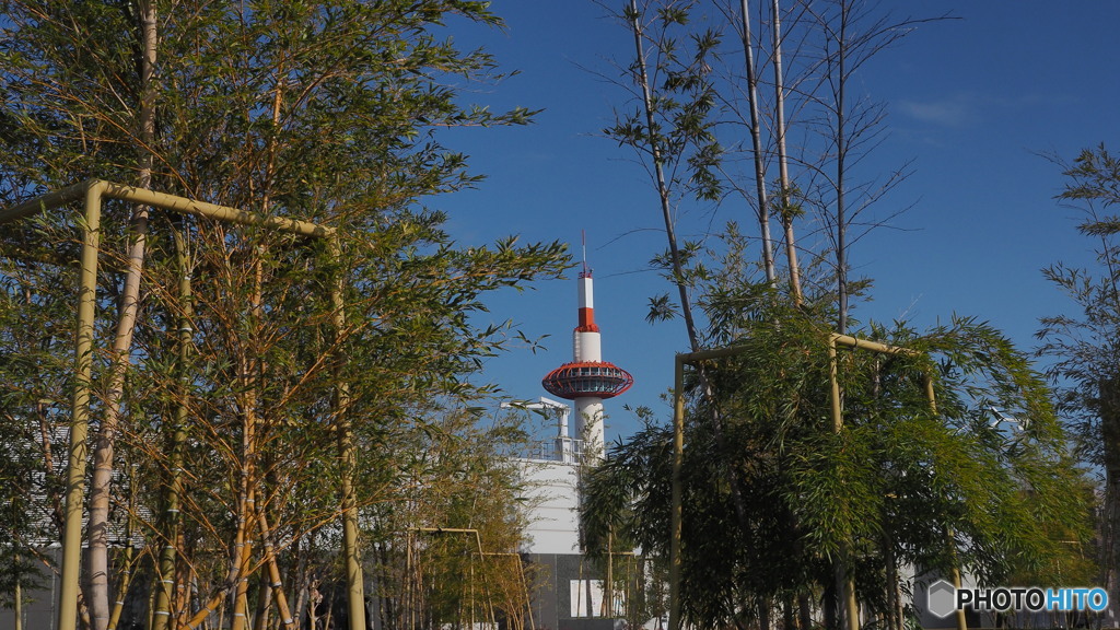 京都タワー2