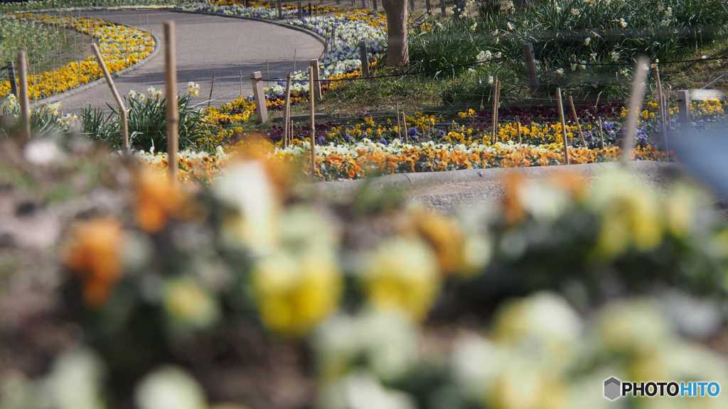 公園009