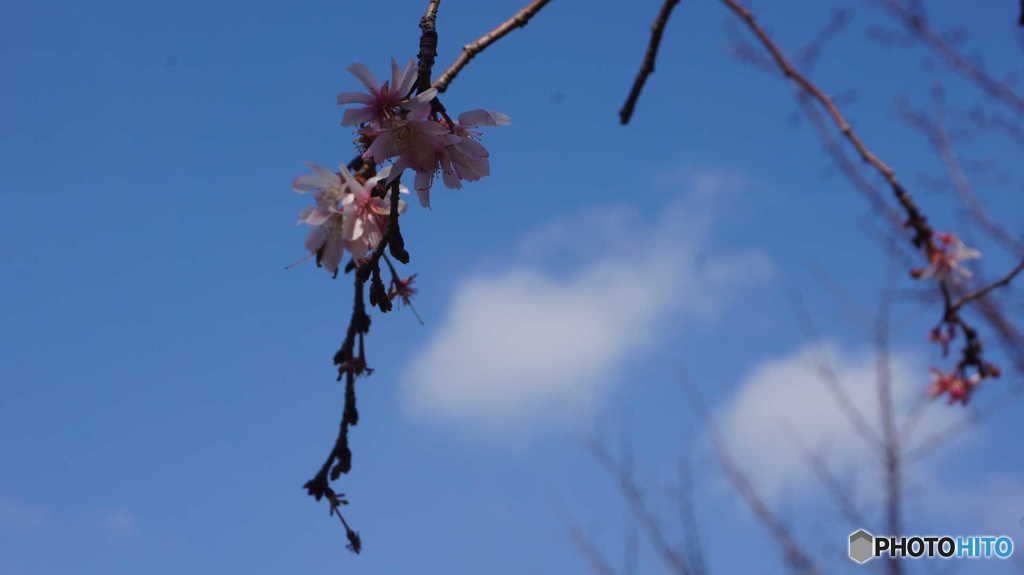公園002