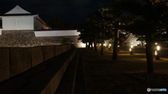 夜景2