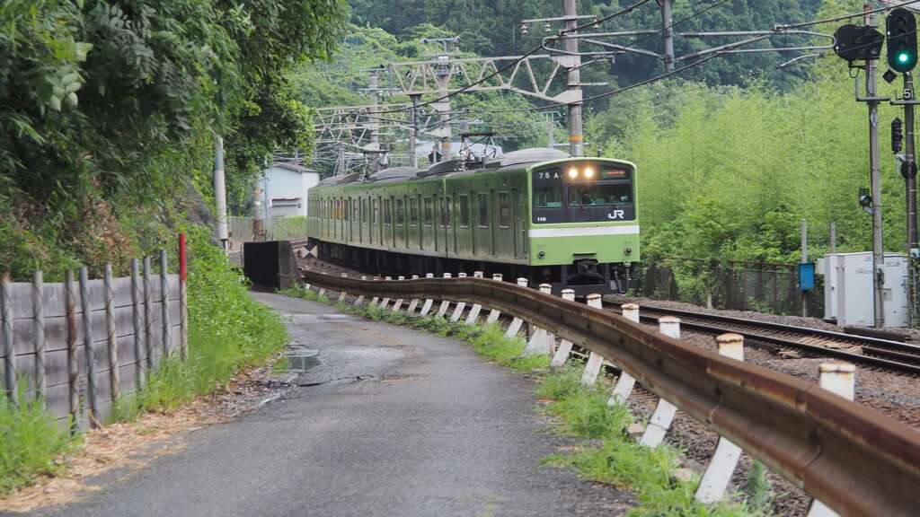 大和路線@河内堅上1