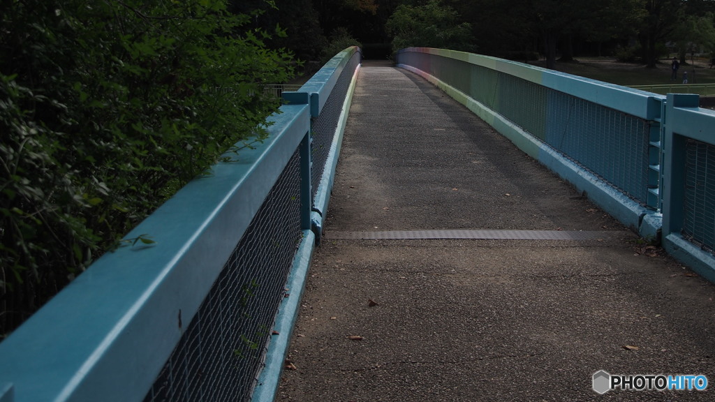 公園の橋