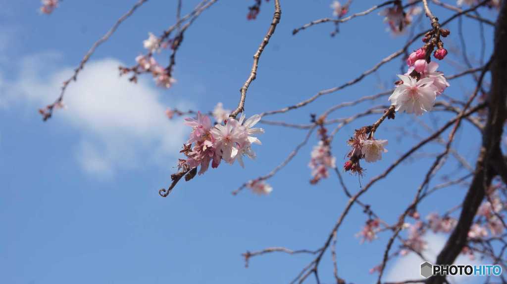 公園003