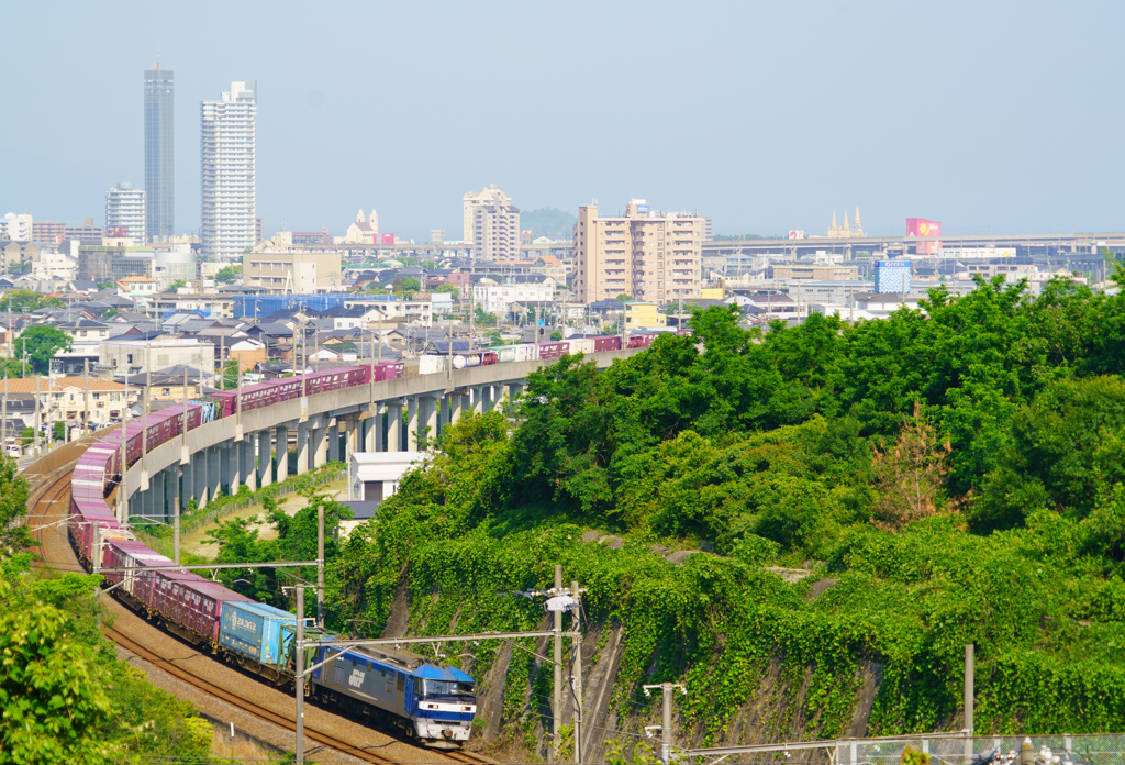 ゴールドタワーと貨物列車