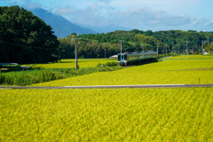 田園地帯をゆく