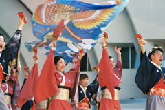 原宿表参道元氣祭スーパーよさこい2024