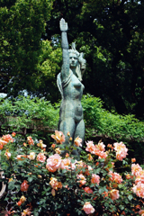 薔薇
