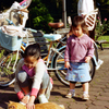 日比谷公園に猫のいた頃(過去写真)