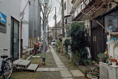 雑司ヶ谷鬼子母神堂・参道脇②・3-3
