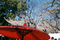 赤い傘