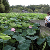上野恩賜公園不忍池にて