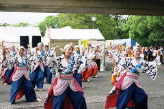 原宿表参道元氣祭スーパーよさこい2023・09