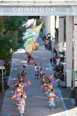 神奈川よさこいまつり①・2-1