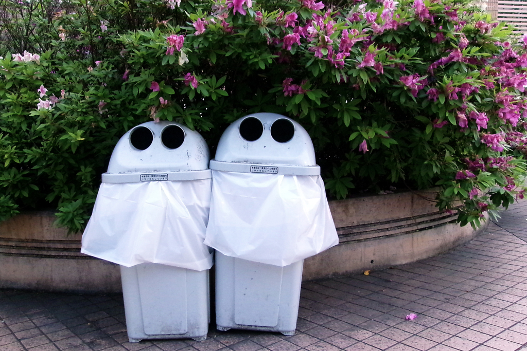 ピッカピカの入園生