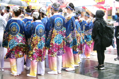 第26回東京よさこい①3-1 第26回東京よさこい①3-1