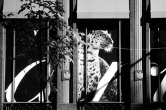 モノクロフィルム比較②