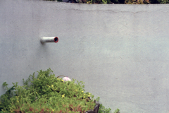 Good Morning 原宿・気になった①