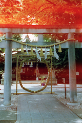 MARIX400D・No.02/25cut「大鳥神社」