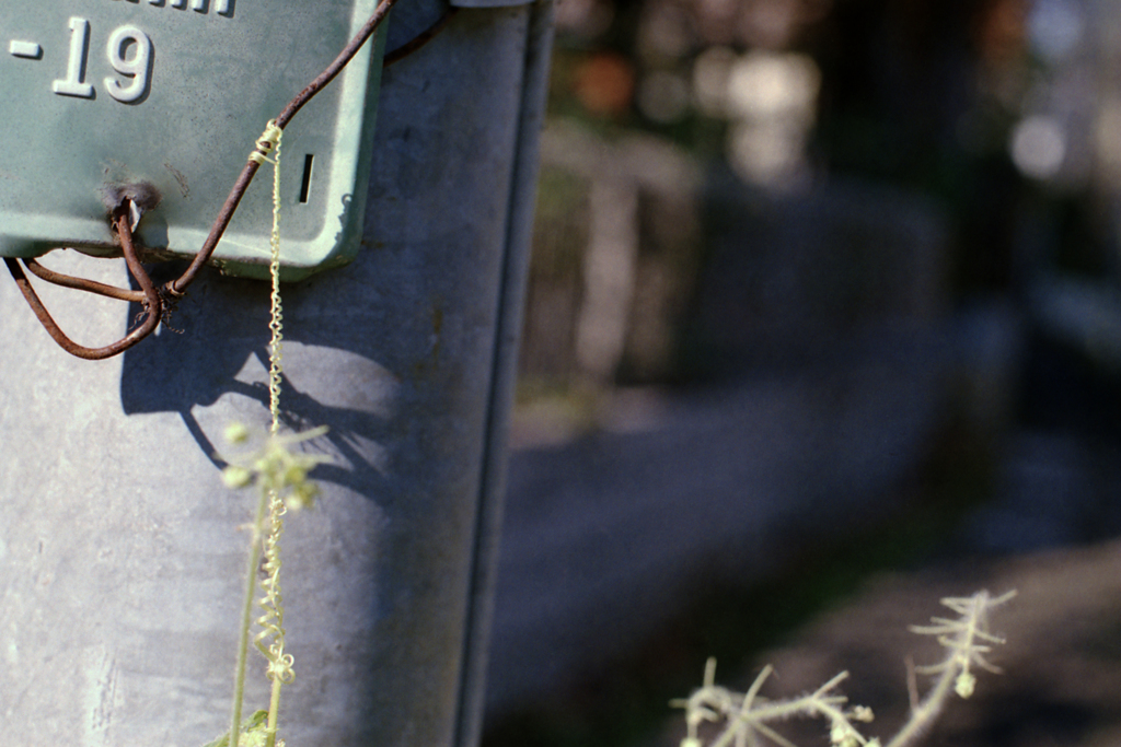 24exp.film・24-15