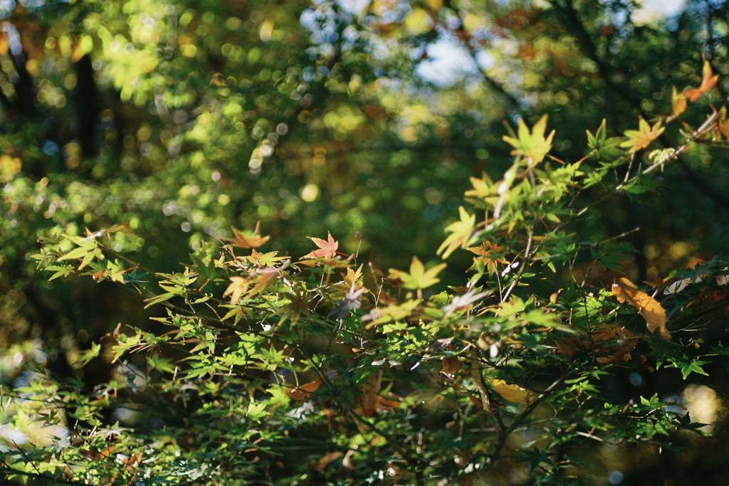 テスト撮影③・2-2