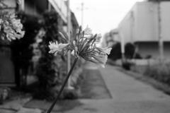 雨の記憶・モノクロ