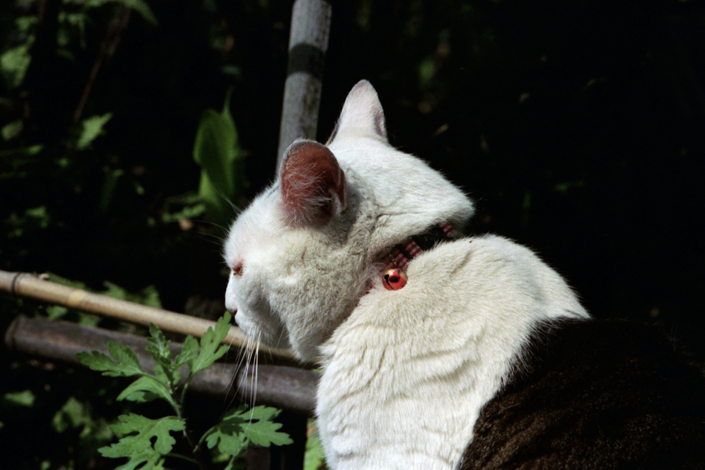 別の日に(過去写真)