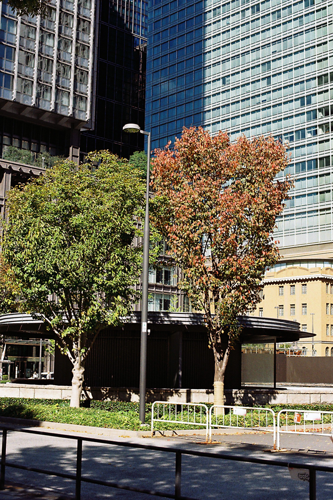 なんとなくカップル