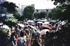 行列・2-1(過去写真)