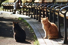 出来事・4-3(過去写真)