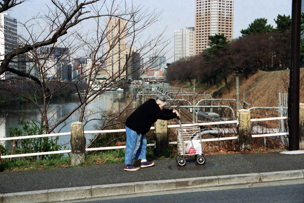 歩き続ける(過去写真)