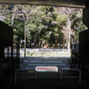 岡本第六天社跡と砧大塚・核心へ②・2-2