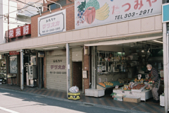 芦花公園駅から丸美ストアーへ①・4-3