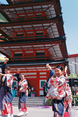 Ebinaよさこい2025②・3-3