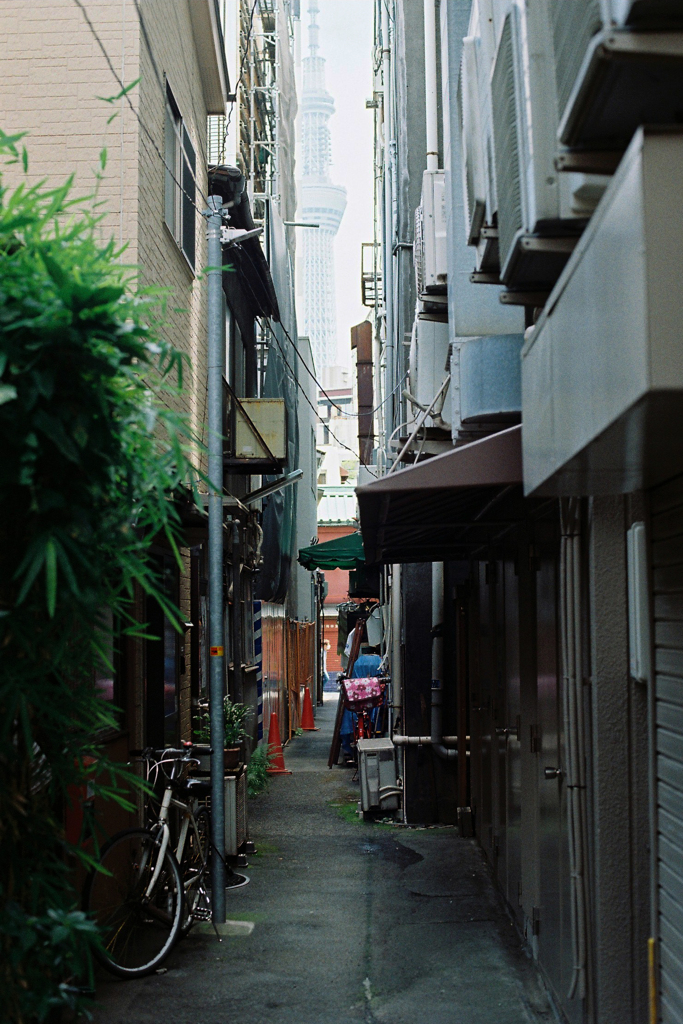 路地