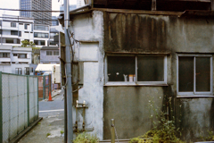 全滅した街⑥・2-2