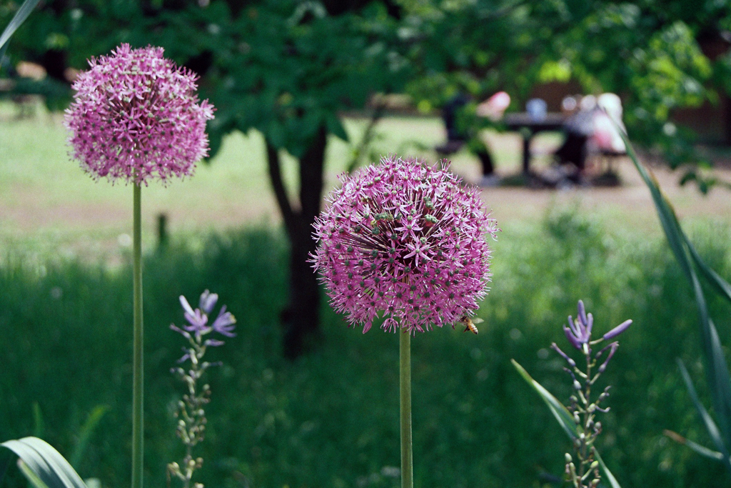 EOS Kiss Ⅲ試写②・3-2
