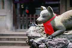 お狐さん