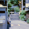鎌倉御霊神社へ続く道