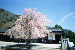 大山阿夫利神社へ③・3-2