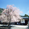 大山阿夫利神社へ③・3-2
